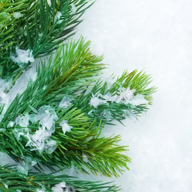 Balsam Fir - A refreshing outdoor woodsy blend with pine notes dominating on a base of light cedar and warm musk.